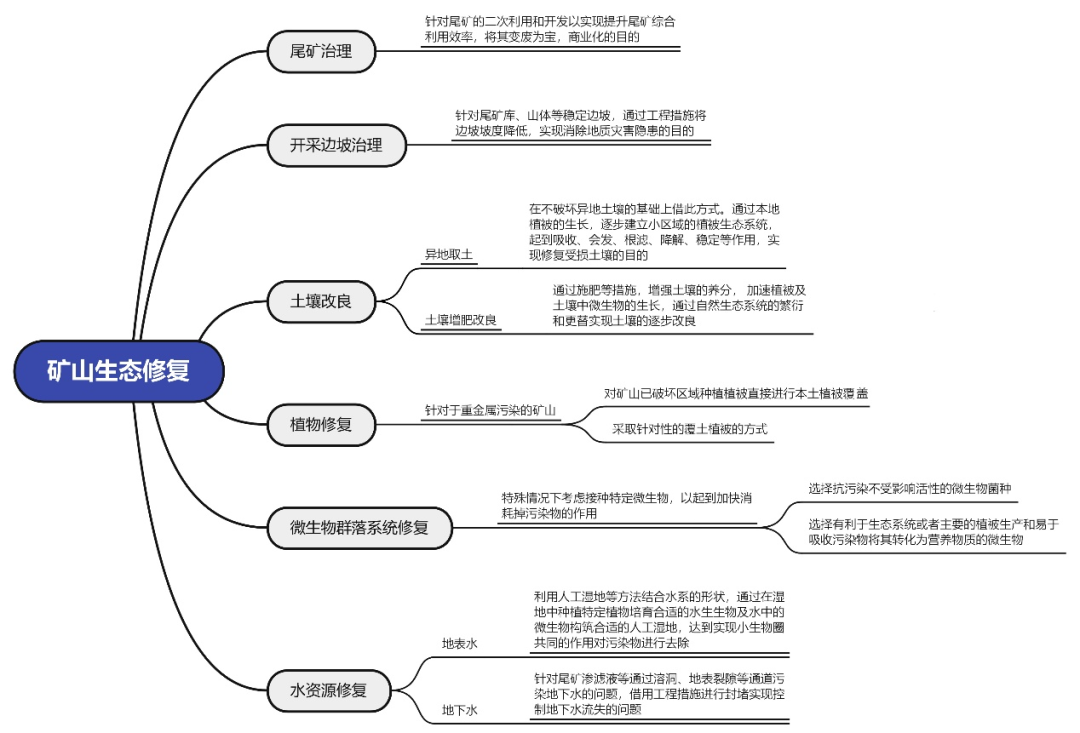 天天精准24码