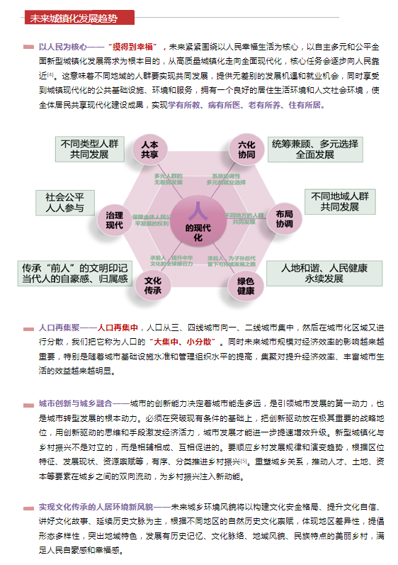 天天精准24码