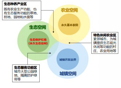 天天精准24码