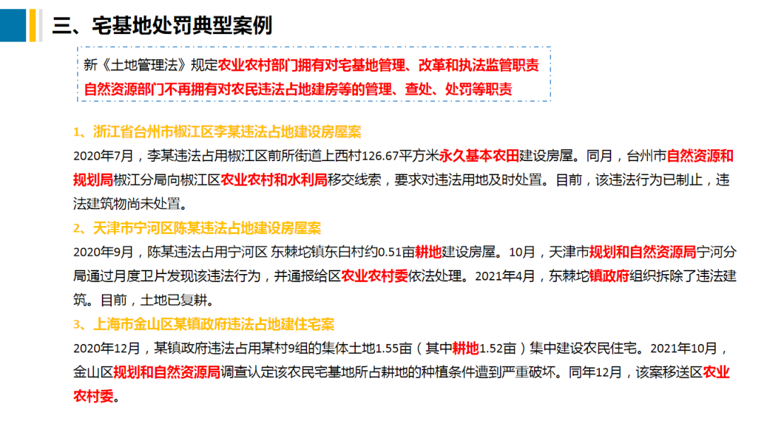 天天精准24码